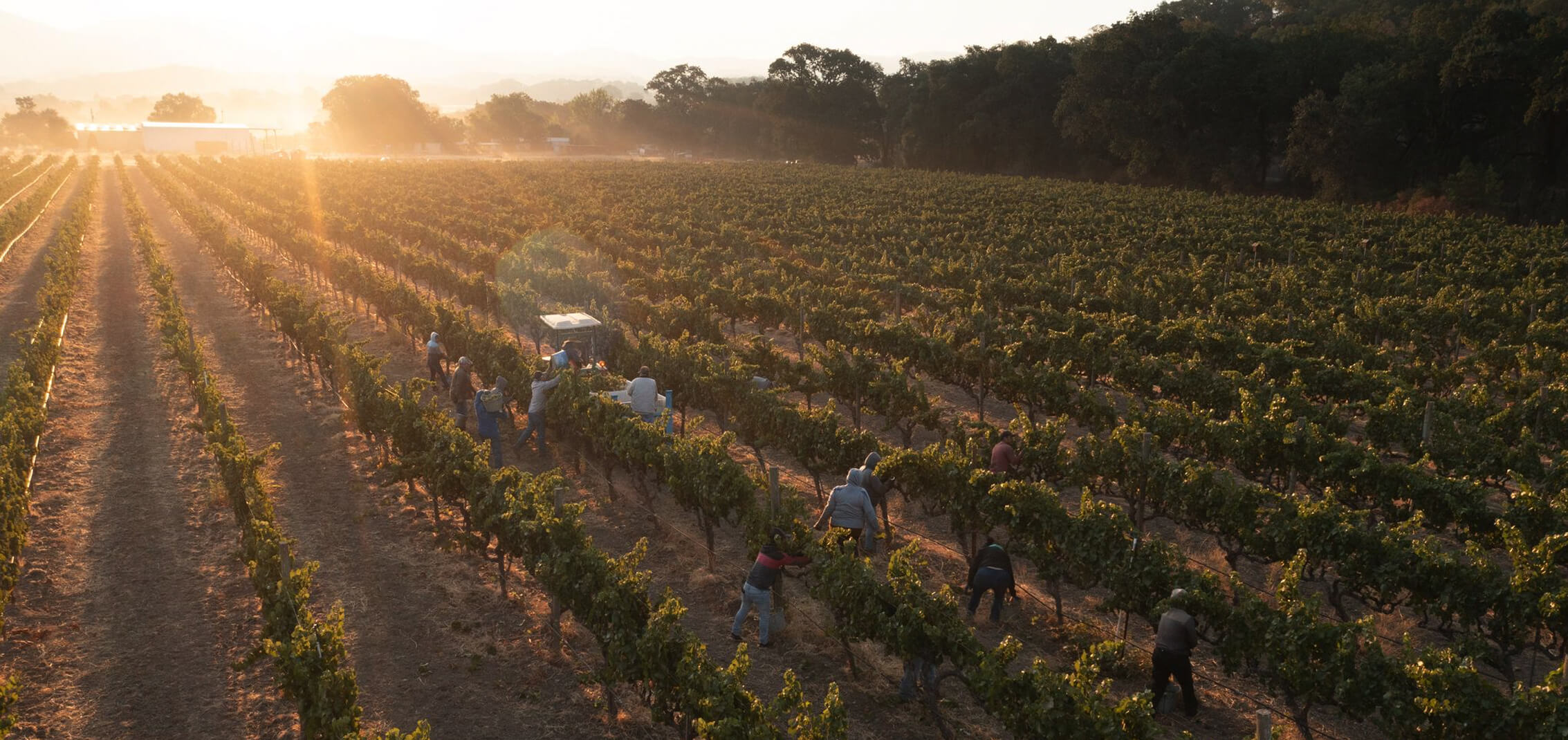 Ettore Logo block_4_image_3_text