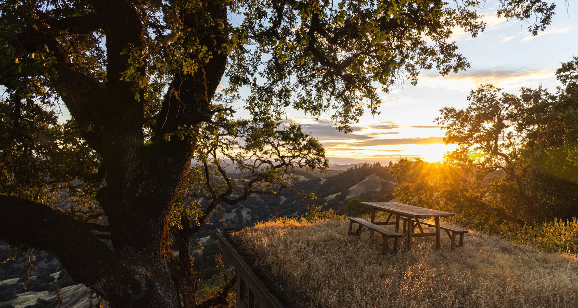 Ettore Logo block_4_image_2_text