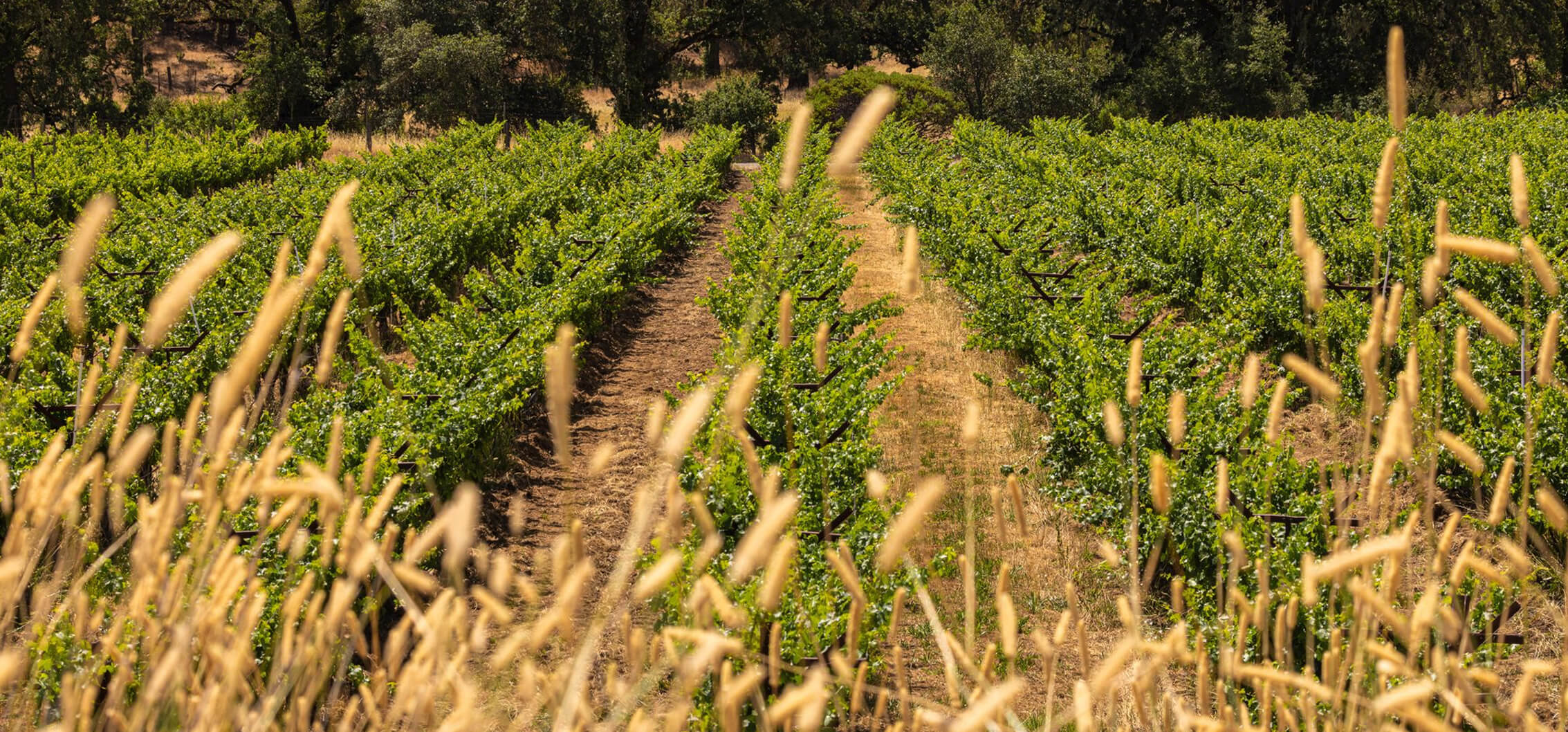 Ettore Logo block_4_image_1_text