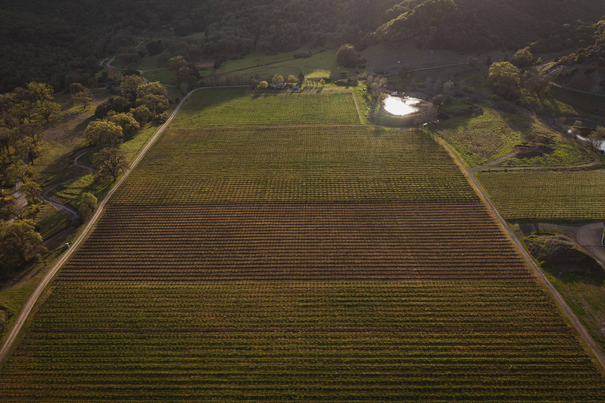 Ettore Logo block_4_image_4_text